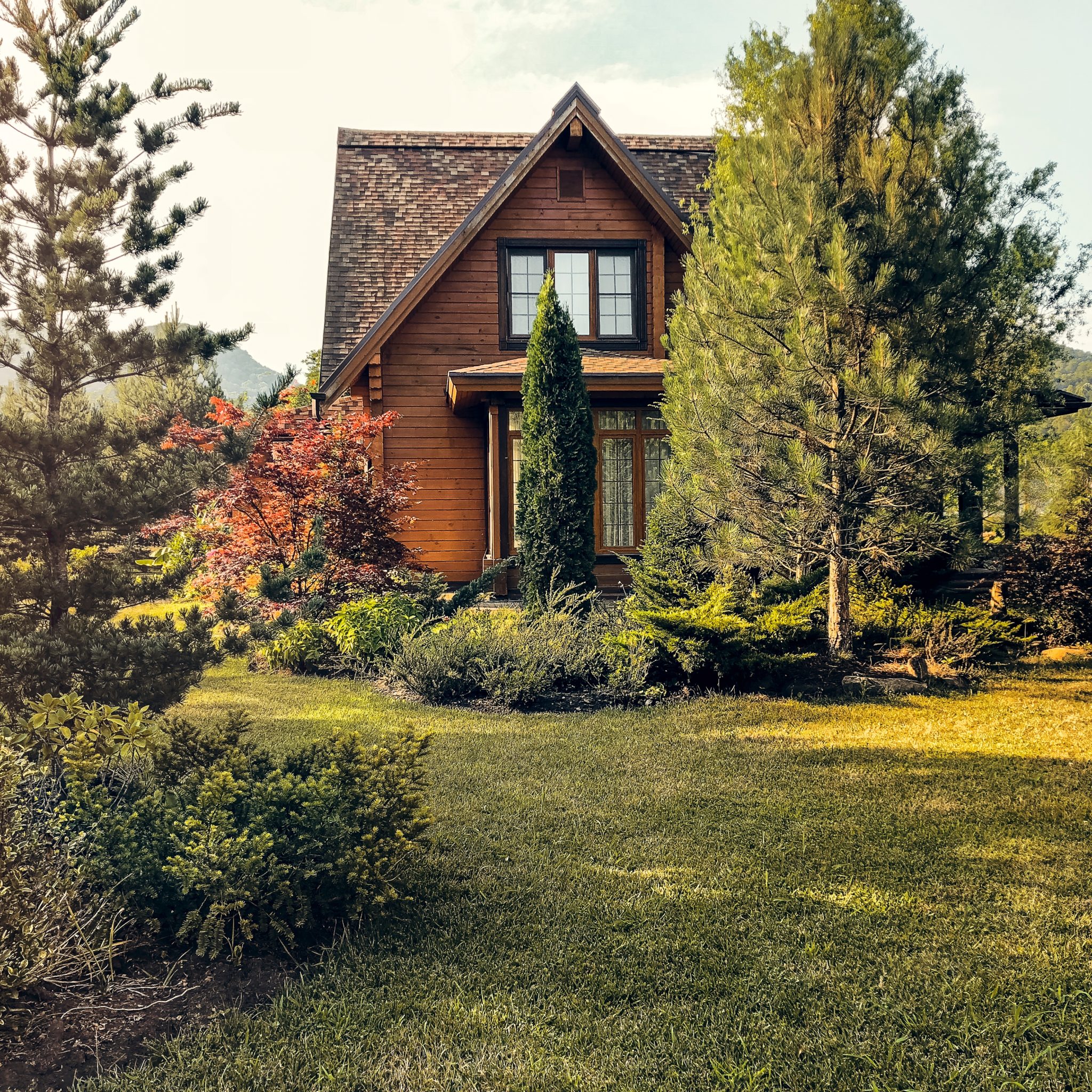 Don't Plant Trees Too Close to Your Home Gray Brother's Tree Service