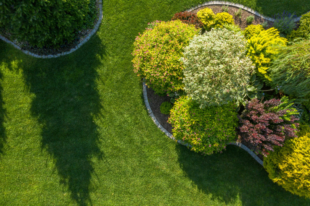 aerial view of residential backyard