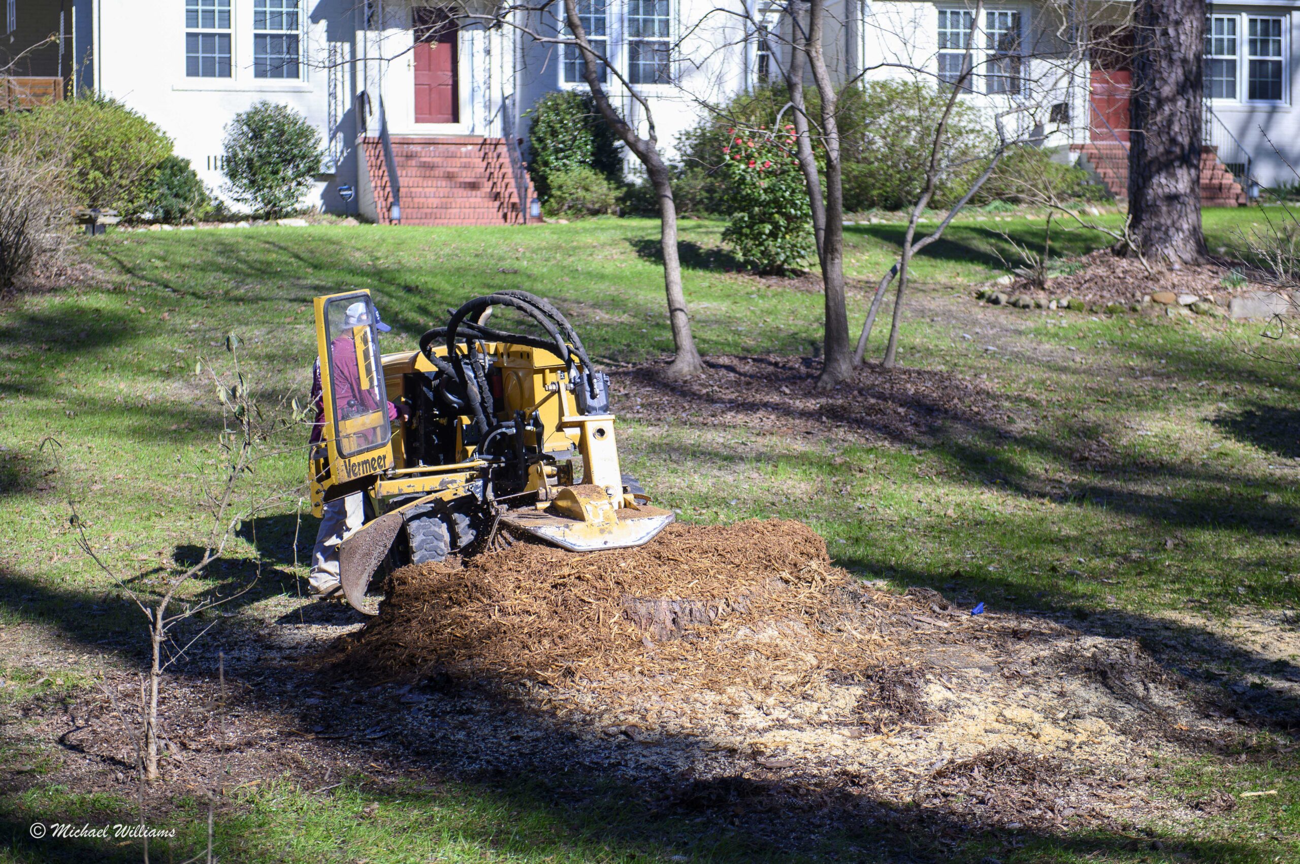 The Benefits of Stump Removal (5) Reasons Why You Should Remove Those